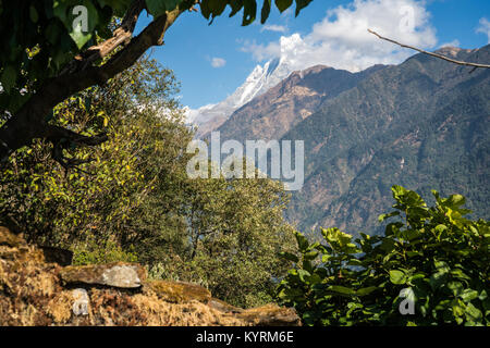 Blick zum Mount Machhapuchchhre, Fischschwanz, Nepal, Annapurna Himalaya Stockfoto