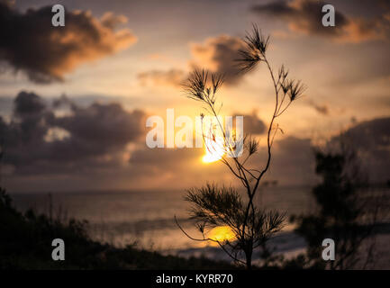 Orange Sonnenuntergang am Strand Stockfoto