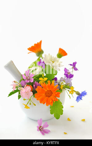 Kräuter und Blumen in Mörtel auf Tisch Stockfoto