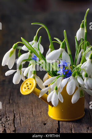 Blumenstrauß aus Schneeglöckchen in kleinen Gießkanne auf hölzernen Tisch Stockfoto