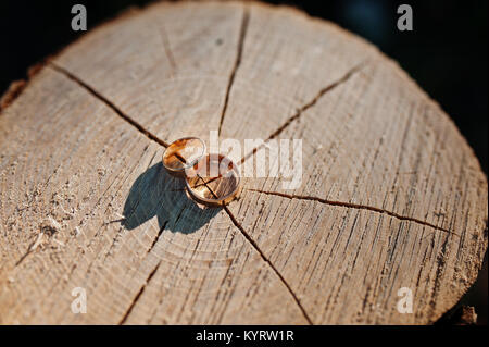 Nahaufnahme von goldenen Hochzeit Ringe Festlegung auf die hölzerne Stumpf. Stockfoto