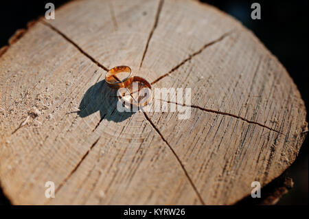 Nahaufnahme von goldenen Hochzeit Ringe Festlegung auf die hölzerne Stumpf. Stockfoto