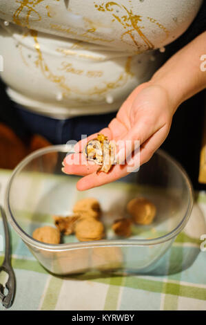 Die frau Hände öffnen sich Pekannuss in eine Schüssel geben. Stockfoto