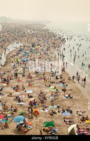Die Niederlande, Scheveningen, in der Nähe von Den Haag oder Den Haag. Menschen Sonnenbaden am Strand. Sommer. Luftbild vom Pier. Stockfoto