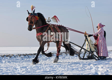 Die Niederlande, Hindeloopen, Antike mit Pferd und Schlitten und Friesenpferd. Mann und Frau in traditioneller Tracht. Winter. Stockfoto