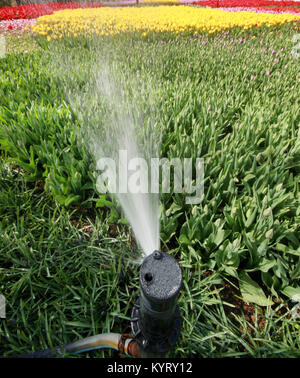 Die Sprinkler Stockfoto