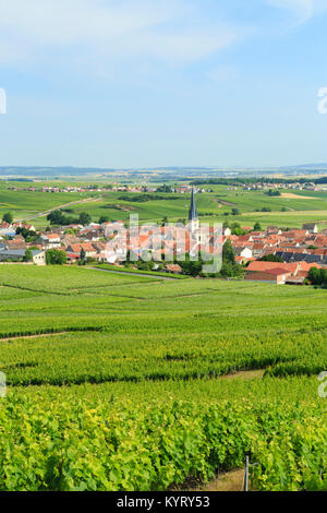 Frankreich, Marne (51), Parc Naturel Régional de la Montagne de Reims, Route du Champagne de la Montagne de Reims, Chamery, Dorf au Milieu du Vignoble Stockfoto