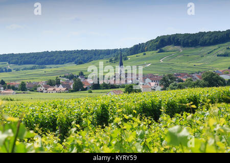 Frankreich, Marne (51), Parc Naturel Régional de la Montagne de Reims, Route du Champagne de la Montagne de Reims, Chamery, Dorf au Milieu du Vignoble Stockfoto