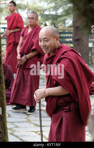 Tibetische buddhistische Mönche debattieren mit jedem anderen auf dem Gelände der Tibetischen Regierung im Exil, Dharamshala, Indien Stockfoto