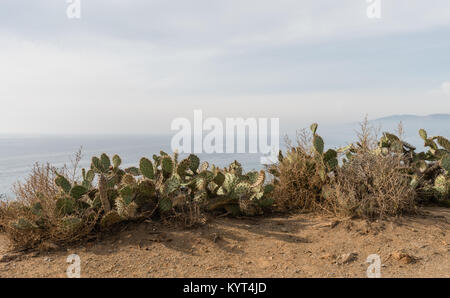 Point Dume Vista, Malibu, Kalifornien Stockfoto