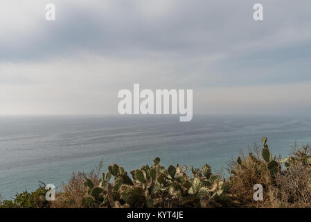 Point Dume Vista, Malibu, Kalifornien Stockfoto