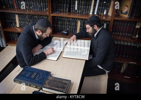 Zwei religiöse jüdische Junge Männer miteinander studiert Talmud in einem Chevrusa, eine Alternative zu Lernen im Klassenzimmer. In Cambria Heights, Queens, New York Stockfoto