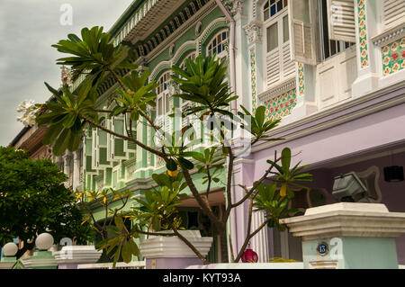 Traditionelle Peranakan Reihenhäuser auf Koon Seng Straße in der Katong (Joo Chiat) Nachbarschaft, Singapur. Stockfoto