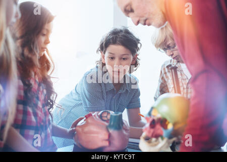 Neugierige Köpfe. Charmante clevere junge Suche eingeschaltet, während die Teilnahme an der Biologie Klasse und dem Studium der menschlichen Anatomie Stockfoto