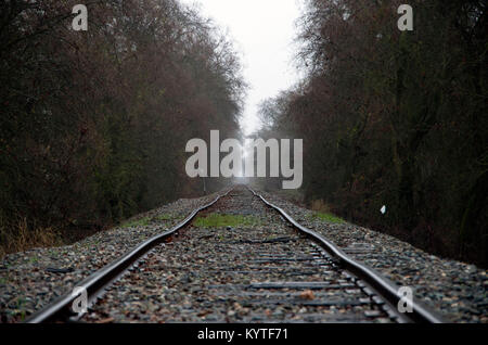 Am frühen Morgen Nebel umhüllt die Ferne Schienen. Stockfoto