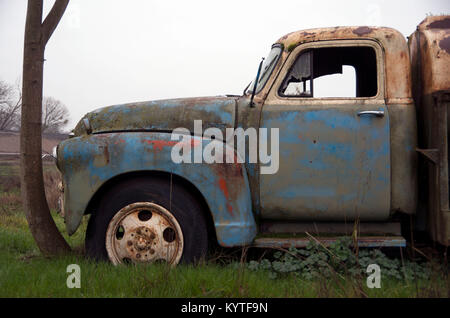 Einen alten Chevy truck sitzt in einem Punkt für so lange, dass ein Baumstamm herum gewachsen ist. Stockfoto