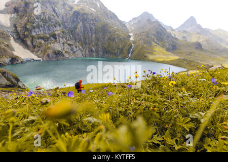 Ein trekker Spaziergänge Vergangenheit Gadsar See und eine Wiese voller Blumen an Kaschmir Great Lakes Trek in Sonamarg, Jammu und Kaschmir, Indien. Schöne Himalaya Stockfoto