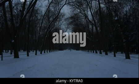 Die Mall im Central Park, NEW YORK CITY, während eines Schneesturms. Stockfoto