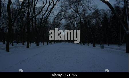 Die Mall im Central Park, NEW YORK CITY, während eines Schneesturms, in den frühen Morgenstunden. Stockfoto