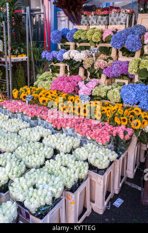 Columbia Road Blumenmarkt ohne Menschen Abschaltdruck Stockfoto