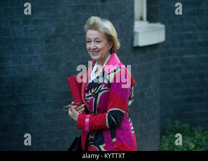 Andrea Leadsom, Führer des Unterhauses und Herr Präsident des Rates, kommt für eine Kabinettssitzung in der Downing Street in einem farbenfrohen Outfit Stockfoto