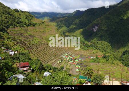 Philippinen Reis Terrassen - Anbau von Reis in Batad Dorf (banaue Bereich). Stockfoto