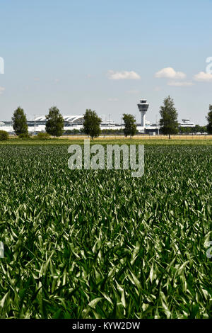 Feld, Flughafen, Sat-Gebäude, Gras, Unkraut, Flughafen München, Satelliten, Terminal, Terminal 1, Tower, Flughafen München, Erding, Freising, München Stockfoto