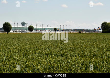 Feld, Flughafen, Sat-Gebäude, Gras, Unkraut, Flughafen München, Satelliten-, Terminal-, Satelliten-, Tower, Flughafen München, Erding, Freising, München Stockfoto