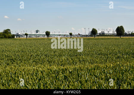 Feld, Flughafen, Sat-Gebäude, Gras, Unkraut, Flughafen München, Satelliten-, Terminal-, Satelliten-, Tower, Flughafen München, Erding, Freising, München Stockfoto