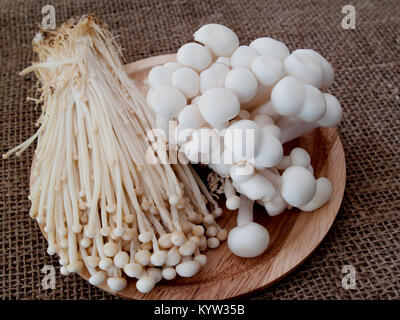 Champignons, goldene Nadel Pilz. Stockfoto