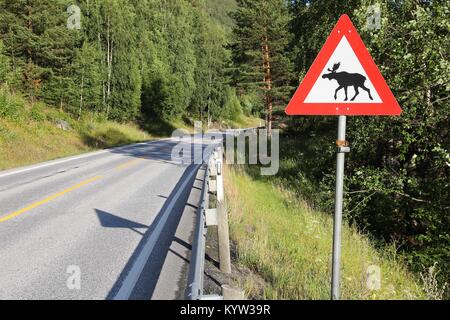 Elche Warnschild an der internationalen Straße E6 in Oppland, Norwegen. Stockfoto