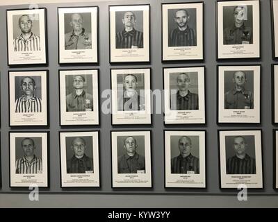Porträts der Opfer des Holocaust in Auschwitz 1 Konzentrationslager in der Nähe von Krakau in Polen Stockfoto