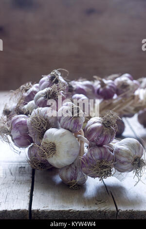 Pigtail von Knoblauch auf Holz rustikale Hintergrund Stockfoto