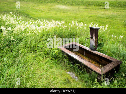 Schöne hölzerne Springbrunnen und die Feder in der Mitte der eine grüne Wiese mit Wildblumen Stockfoto