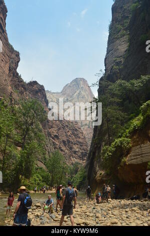 Grand Schlucht mit Blick auf einen sehr hohen Berg in Zion Park. Geologie Reisen Urlaub 25 Juni, 2017. Der Zion Park. Springdale. Utah. USA. EEUU. Stockfoto
