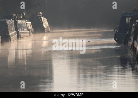 Nebel aus steigenden Kanal in der frühen Morgensonne Stockfoto