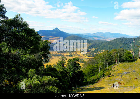 Australischen Hinterland mit blauen Berge in der Ferne und Rinder grasen in der Wiese unten - Killarney, Queensland Stockfoto