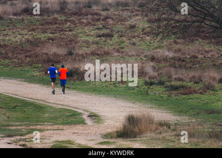 Zwei männliche Läufer laufen auf einem Trail im Richmond Park Stockfoto