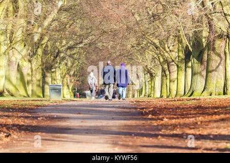 Northampton. Wetter in Großbritannien, Abington Park. 16. Januar 2018. Ein älteres Paar genießen Sie einen Spaziergang entlang der Allee der Bäume im Sonnenschein am Nachmittag. Credit: Keith J Smith./Alamy leben Nachrichten Stockfoto