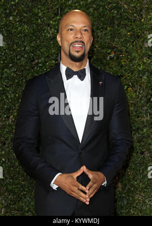 Pasadena, CA, USA. 16 Jan, 2018. 15. Januar 2018 - Pasadena, Kalifornien - Gemeinsame. 49 NAACP Image Awards 2018 Ankünfte an das Pasadena Civic Auditorium in Pasadena statt. Photo Credit: AdMedia Credit: AdMedia/ZUMA Draht/Alamy leben Nachrichten Stockfoto