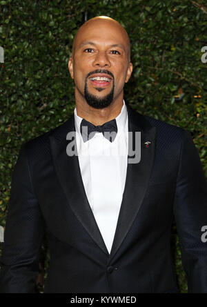 Pasadena, CA, USA. 16 Jan, 2018. 15. Januar 2018 - Pasadena, Kalifornien - Gemeinsame. 49 NAACP Image Awards 2018 Ankünfte an das Pasadena Civic Auditorium in Pasadena statt. Photo Credit: AdMedia Credit: AdMedia/ZUMA Draht/Alamy leben Nachrichten Stockfoto