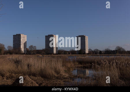 London, Großbritannien. 17 Jan, 2018. Schönen sonnigen Morgen im Norden von London. Blick über Woodberry Feuchtgebiete des Blocks im Wasser spiegelt. Quelle: Carol Moir/Alamy Leben Nachrichten. Stockfoto