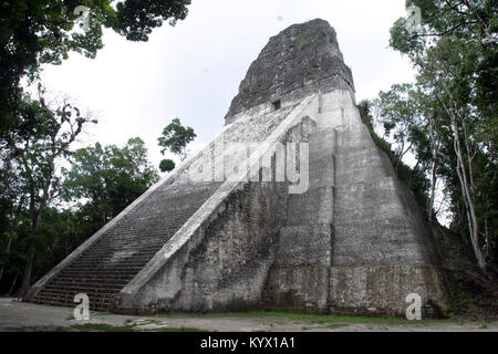 Tempel 5, Tikal, El Peten, Guatemala, Maya Stockfoto