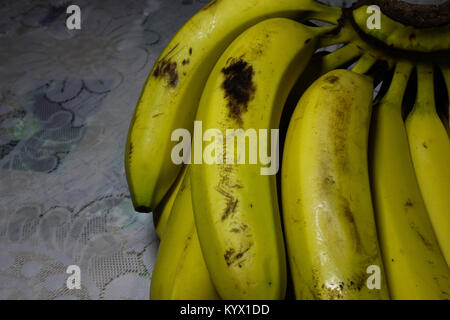 Cluster von cavendish Bananen auf einem weißen Tisch Stockfoto