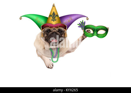 Mardi gras Mops Welpen Hund mit Karneval Harlekin hat und venezianische Maske hängen auf leeren Banner, auf weißem Hintergrund Stockfoto