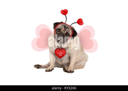 Niedlich Valentine's Tag mops Welpe Hund, hinsetzen, das Tragen von Herzen Diadem und herzförmige Flügel, auf weißem Hintergrund Stockfoto