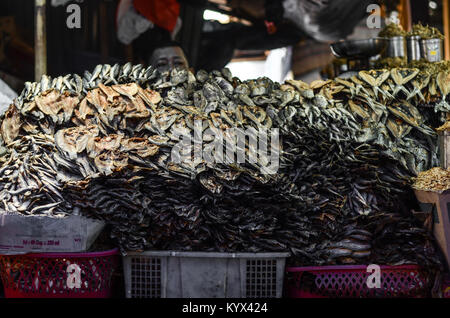 Eine große Menge von salzigen getrockneten Fisch in Bolu Markt verkauft, Rantepao Stadt - Nord Toraja. Stockfoto