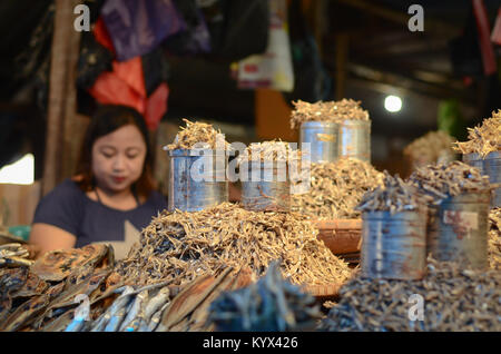 Getrocknete Sardellen Fisch in Bolu Markt verkauft (Pasar Bolu), Rantepao Stadt in der Regentschaft von Norden Toraja. Stockfoto