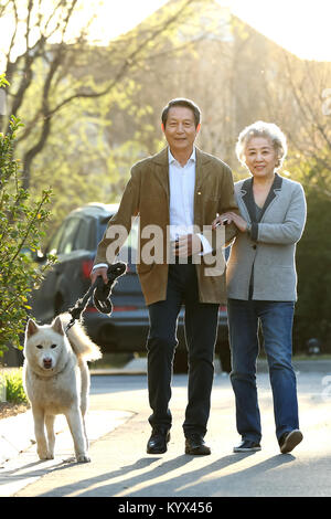 Ältere Paare gehen Hunde im Freien Stockfoto