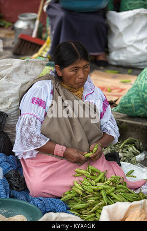 Otavalo, Ecuador - 30. Dezember 2017: Nahaufnahme einer indigenen Frau Reinigung Erbsen in der wöchentliche Bauernmarkt Stockfoto